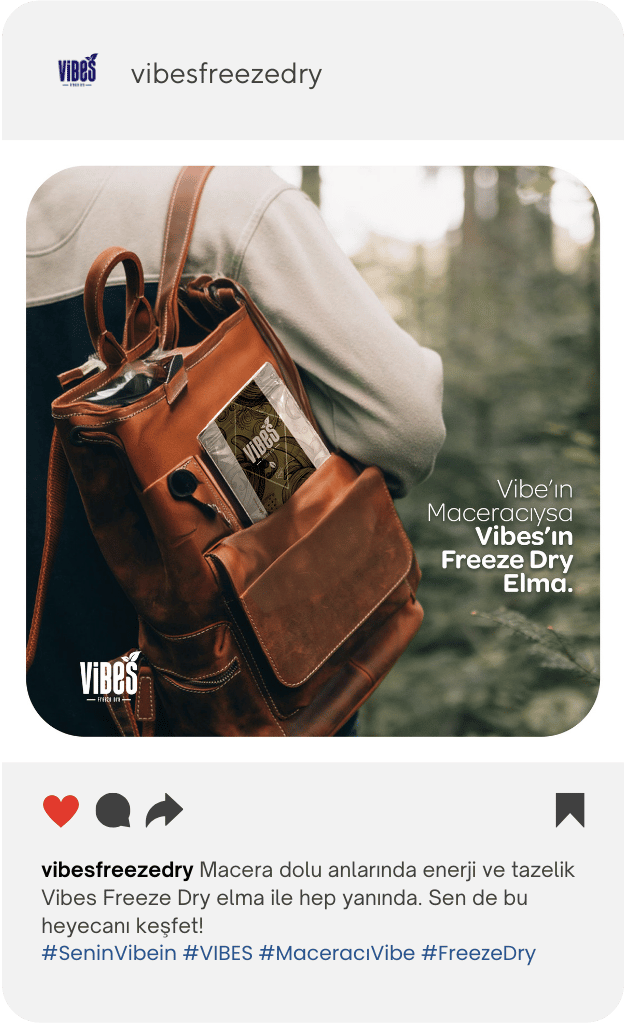 Instagram post: Vibes Freeze Dry on a trip
