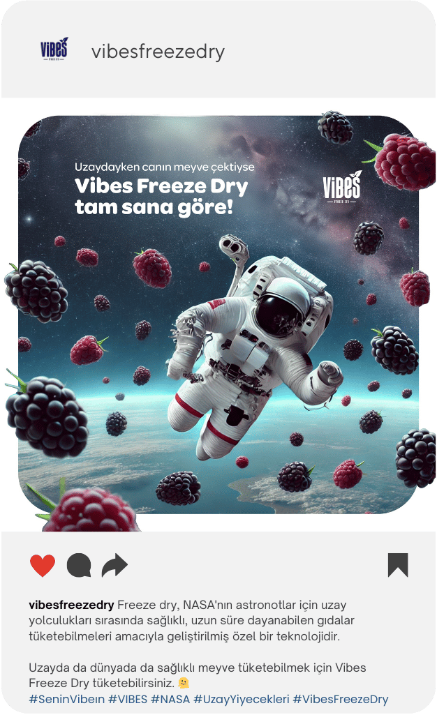 Instagram post: astronaut among berries
