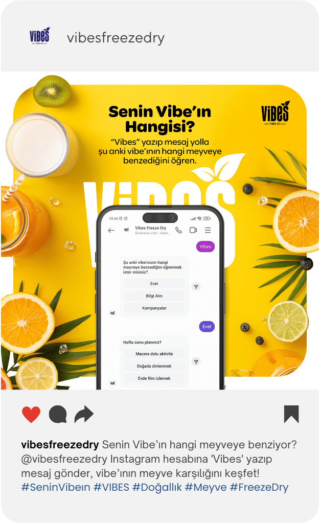 Instagram post: Senin Vibe'ın hangisi, automation launch