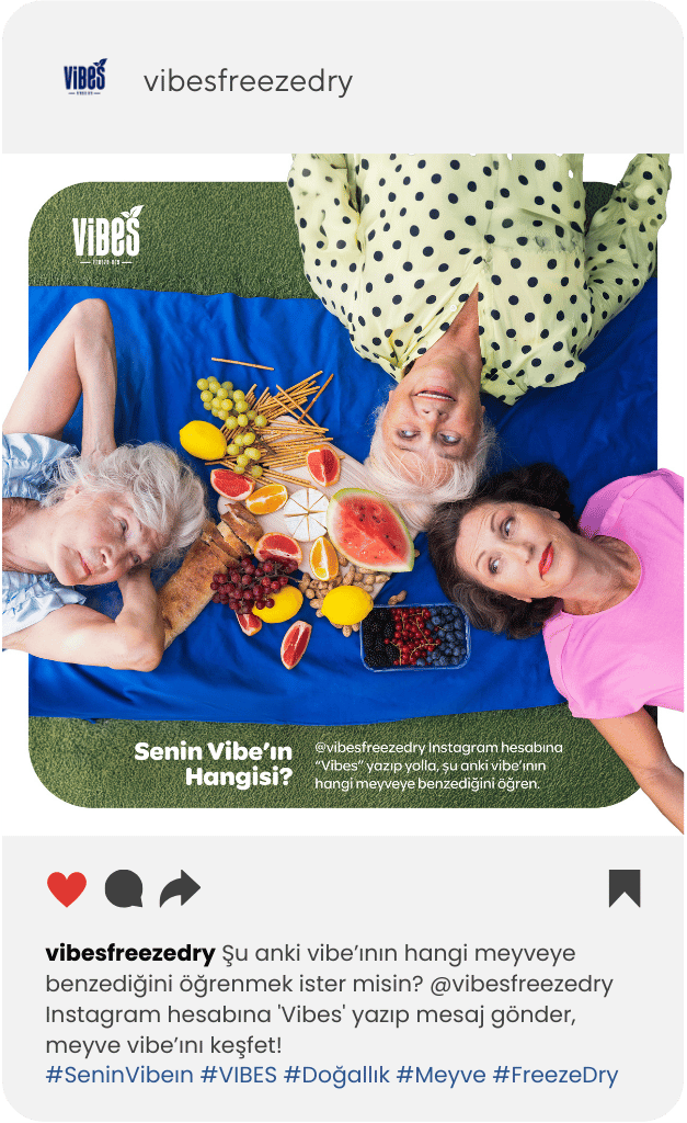 Instagram post: family picnic, Senin Vibe'ın hangisi